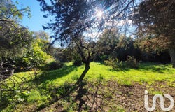 Caux, Occitanie 34720