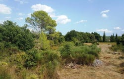 Cotignac, Var 83570