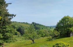 Suin, Burgundy 71220