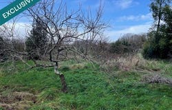 Brannay, Bourgogne 89150