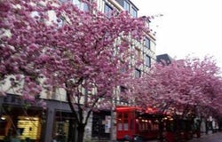 ROUEN, Normandy 76000