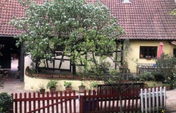 Bischwiller, Bas-Rhin 67240