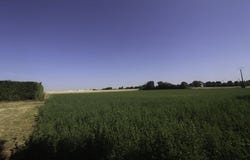 NACHAMPS, Poitou-Charentes 17380