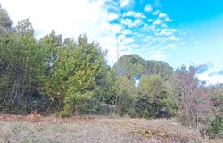 Lodève, Occitanie 34700