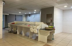 Ingrandes, Nouvelle-Aquitaine 86220