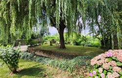 Sainte-Hermine, Pays-de-la-Loire 85210