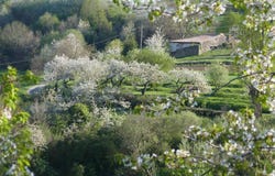 Saint-Sylvestre, Rhône-Alpes 07440