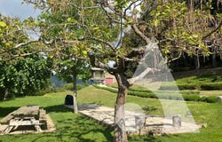 Saint-Apollinaire-de-Rias, Rhône-Alpes 07240