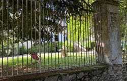 Marciac, Midi-Pyrénées 32230