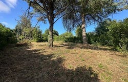 Niort, Poitou-Charentes 79000