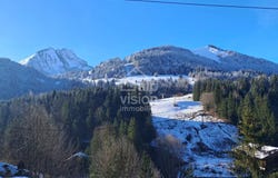 Abondance, Rhône-Alpes 74360