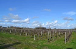 Saint-André-de-Cubzac, Gironde 33240