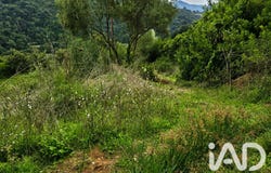 Ocana, Corsica 20117