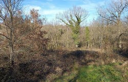 MIRANDOL BOURGNOUNAC, Midi-Pyrénées 81190