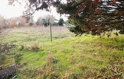 Croutelle, Nouvelle-Aquitaine 86240