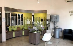 Dange-Saint-Romain, Poitou-Charentes 86220