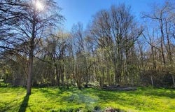 Saint-Pierre-De-Maille, Poitou-Charentes 86260