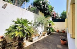 Perpignan, Languedoc-Roussillon 66000