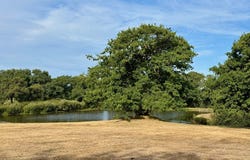 PLOUGONVELIN, Brittany 29217
