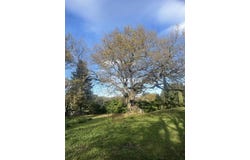 Grignan, Auvergne-Rhône-Alpes 26230