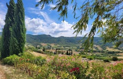 Saint-Sauveur-Gouvernet, Drôme 26110