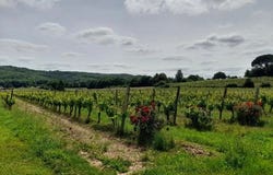 Puy-Leveque, Lot