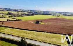 Pampelonne, Occitanie 81190