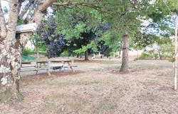 Bois, Poitou-Charentes 17240