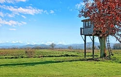 Mondavezan, Midi-Pyrénées 31220