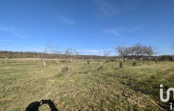 Nouzilly, Centre-Val de Loire 37380