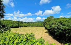 Ouroux-en-Morvan, Burgundy 58230