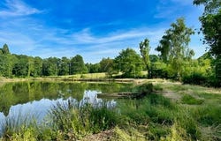 Pau, Aquitaine 64000