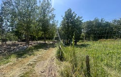 LA TAILLEE, Pays de la Loire 85450