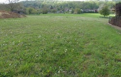Nointel, Picardie 60840