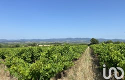 MAGALAS, Occitanie 34480