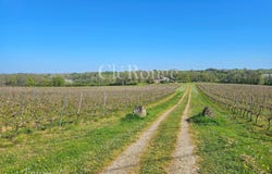 Ruch, Aquitaine 33350