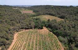 Creissan, Occitanie 34370