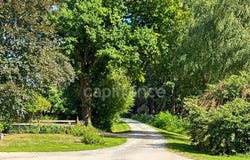Courcemont, Pays-de-la-Loire 72110