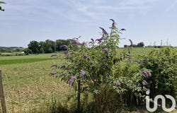 SAINTE RADEGONDE, Nouvelle-Aquitaine 33350
