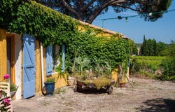 La Motte, Provence-Alpes-Côte d'Azur 83920