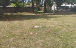 Saint-André-de-Cubzac, Nouvelle-Aquitaine 33240