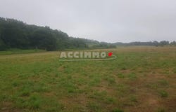 Gaillac, Tarn 81600