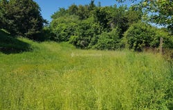Cagnac-les-Mines, Tarn 81130