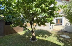 Vizille, Isère 38220