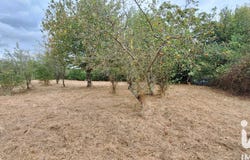 Mosnay, Centre-Val de Loire 36200