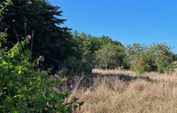 Castillonnès, Aquitaine 47330