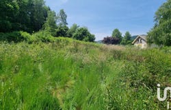 Anould, Grand Est 88650