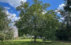 Saint-Marcel-en-Marcillat, Auvergne 03420