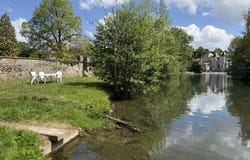 Civray, Poitou-Charentes 86400