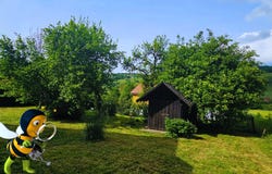 Laval, Laval, Pays de la Loire 53000
